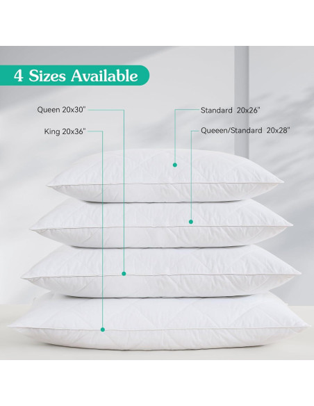 Almohadas de Plumas de Ganso Tres Gansos - Juego de 2 Reina