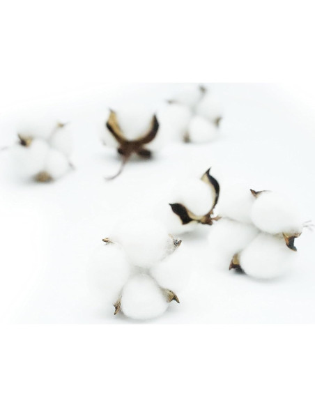 25 Piezas Bolas de Algodón Blanco Decorativas 5-6cm Rowan 25 Piezas Bolas de Algodón Blanco Decorativas 5-6cm Rowan