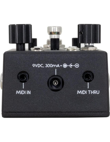 Pedal de Ensayo Walrus Audio Canvas - Bluetooth, Metrónomo, Pantalla OLED