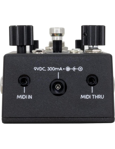 Pedal de Ensayo Walrus Audio Canvas - Bluetooth, Metrónomo, Pantalla OLED