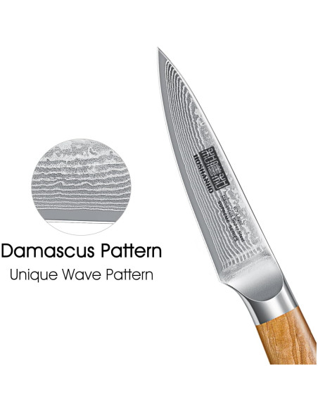 Cuchillo de Pelar HOSHANHO 9.5 cm Damasco Acero Forjado Cuchillo de Pelar HOSHANHO 9.5 cm Damasco Acero Forjado