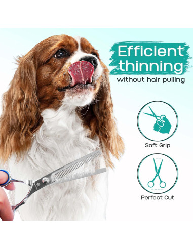Kit de Aseo Profesional Pawtrim 6 en 1 para Mascotas