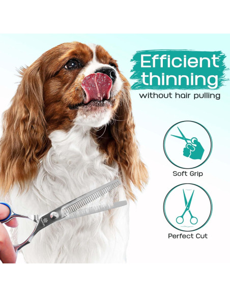 Kit de Aseo Profesional Pawtrim 6 en 1 para Mascotas Kit de Aseo Profesional Pawtrim 6 en 1 para Mascotas