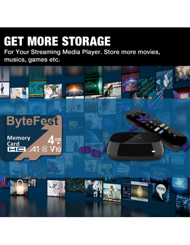 Paquete de 5 Tarjetas de Memoria 4GB ByteFest Clase 10