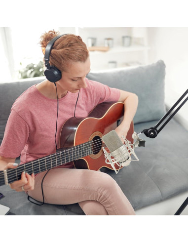 Soporte de micrófono ZibugZag con amortiguación - Compatible Neumann TLM