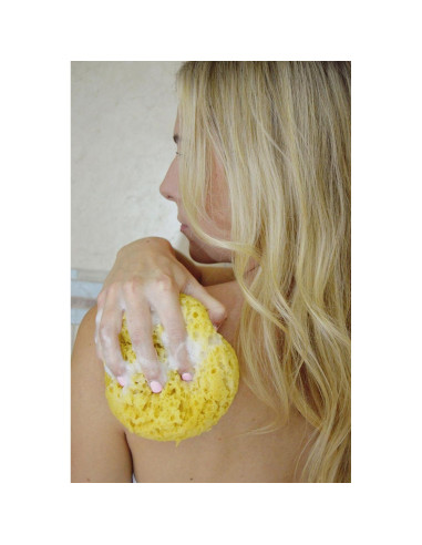 Esponja de Cuerpo Exfoliante Evriholder - Paquete de 2