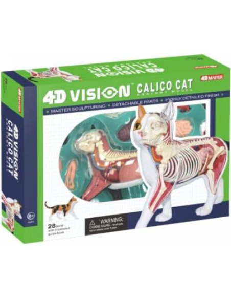 Modelo de Anatomía de Gato Calico 4DMaster 29.39 cm 28 Piezas Modelo de Anatomía de Gato Calico 4DMaster 29.39 cm 28 Piezas