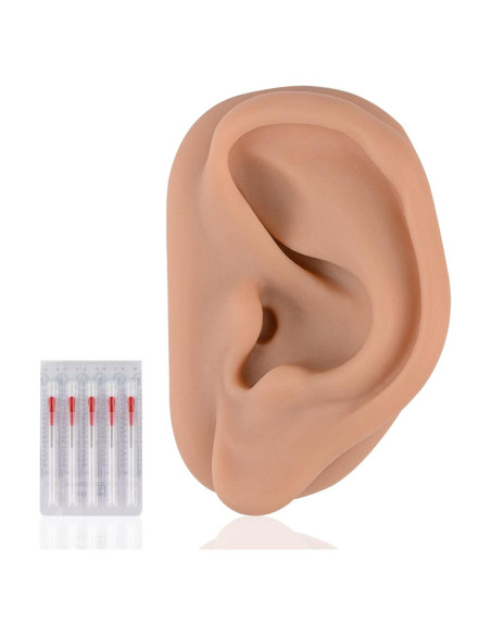 Modelo de Oído de Silicona Simulador Acupuntura SimCoach Modelo de Oído de Silicona Simulador Acupuntura SimCoach