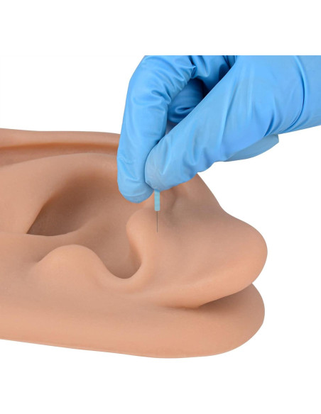 Modelo de Oído de Silicona Simulador Acupuntura SimCoach Modelo de Oído de Silicona Simulador Acupuntura SimCoach