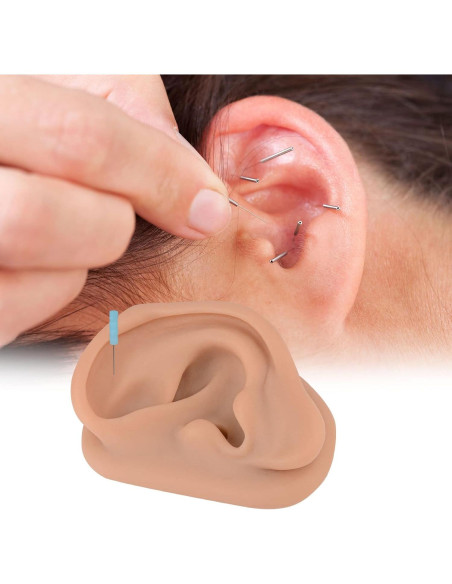 Modelo de Oído de Silicona Simulador Acupuntura SimCoach Modelo de Oído de Silicona Simulador Acupuntura SimCoach