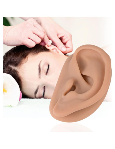 Modelo de Oído de Silicona Simulador Acupuntura SimCoach