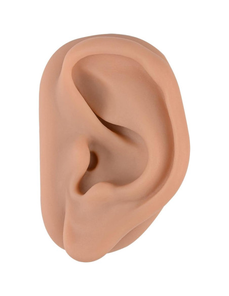 Modelo de Oído de Silicona Simulador Acupuntura SimCoach Modelo de Oído de Silicona Simulador Acupuntura SimCoach