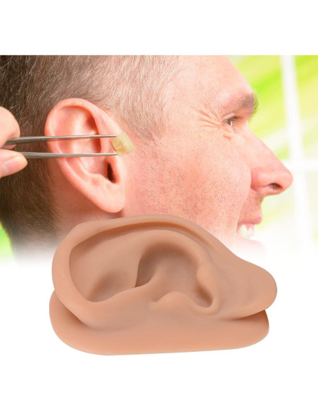 Modelo de Oído de Silicona Simulador Acupuntura SimCoach Modelo de Oído de Silicona Simulador Acupuntura SimCoach