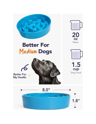 Cuenco Cerámico Antideslizante LE TAUCI 1.5 Tazas Azul