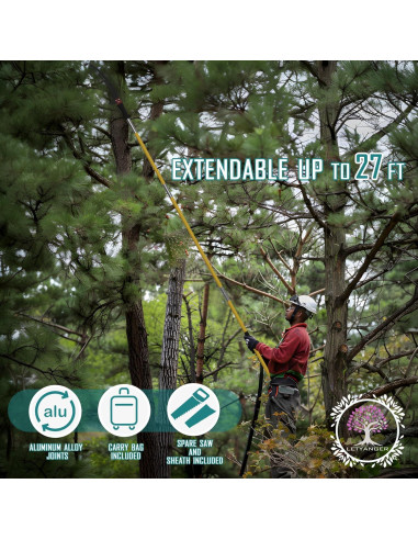 Sierra de Poste Extensible LETYANGER 2.2-8.2 m con Podadora
