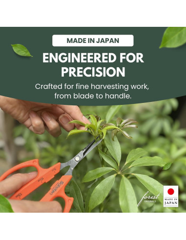 Tijeras de Cosecha Saboten PT-2 - Acero Inoxidable Japonés