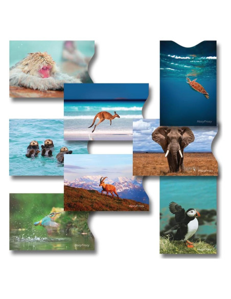 8 Fundas Bloqueadoras RFID PokCat - Diseños Animales Coloridos 8 Fundas Bloqueadoras RFID PokCat - Diseños Animales Coloridos