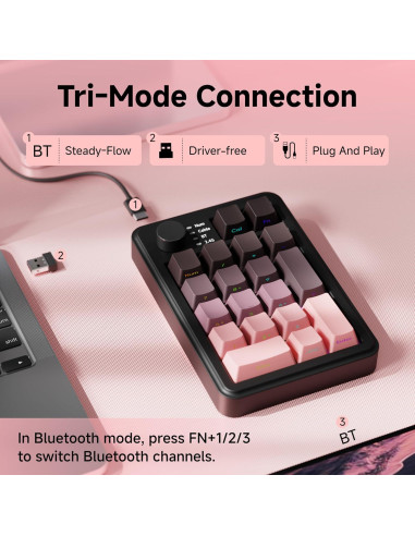 Teclado Numérico Mecánico Inalámbrico EWEADN NK20 RGB Rosa Negro