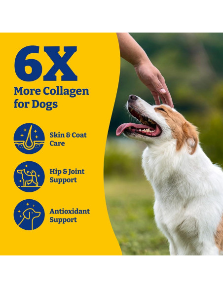 Golosinas de Colágeno para Perros YoYoBay - 120 Unidades, Sabor Pato y Pera Golosinas de Colágeno para Perros YoYoBay - 120 Unidades, Sabor Pato y Pera
