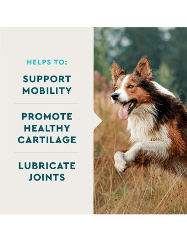 Suplemento Articular VetIQ para Perros 60 Tabletas Masticables