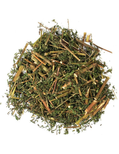 Artemisia Annua Secada EidolonGreen 60g - Hierba Natural