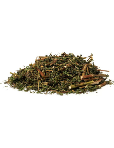 Artemisia Annua Secada EidolonGreen 60g - Hierba Natural