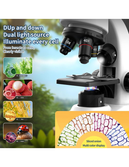 Microscopio Educativo WSDMIC 40X-1600X con Luz LED y Accesorios Microscopio Educativo WSDMIC 40X-1600X con Luz LED y Accesorios