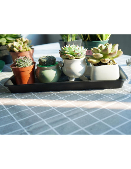Paquete de 6 bandejas de plástico VUWEZ para plantas 27.94x15.24 cm Paquete de 6 bandejas de plástico VUWEZ para plantas 27.94x15.24 cm