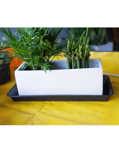 Paquete de 6 bandejas de plástico VUWEZ para plantas 27.94x15.24 cm