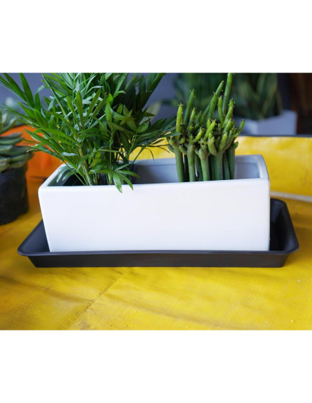 Paquete de 6 bandejas de plástico VUWEZ para plantas 27.94x15.24 cm Paquete de 6 bandejas de plástico VUWEZ para plantas 27.94x15.24 cm