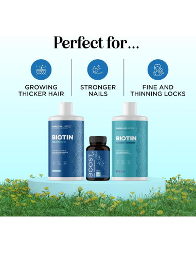 Conjunto de Tratamiento Capilar Maple Holistics - Biotina 315ml