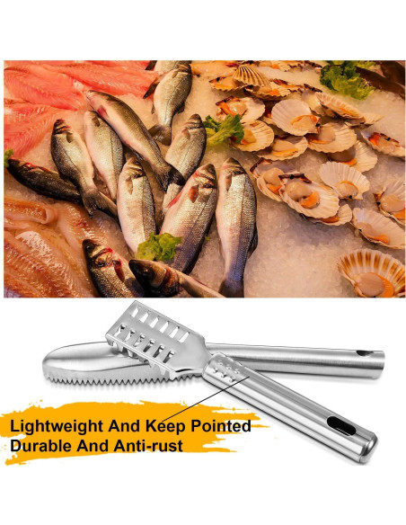 Mudder 6 Piezas Cepillos Removedores de Escamas de Pescado Acero Inoxidable Mudder 6 Piezas Cepillos Removedores de Escamas de Pescado Acero Inoxidable