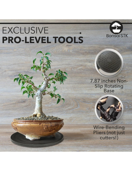 Kit de Herramientas de Bonsai CORSIL - 22 Piezas, Incluye Base Giratoria Kit de Herramientas de Bonsai CORSIL - 22 Piezas, Incluye Base Giratoria