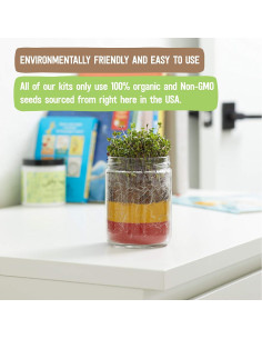 Kit de Terrario Back to the Roots 0.45L - Cultivo de Microgreens 2