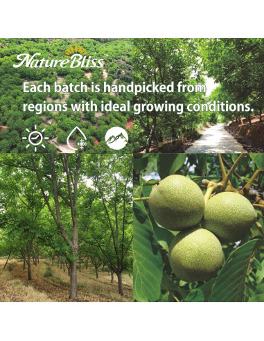 Nueces Peladas Naturebliss 99.22 g - Snack Saludable Sin Sal