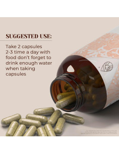 Cápsulas de Meadowsweet Orgánico Garden Organics 60 Unidades 2