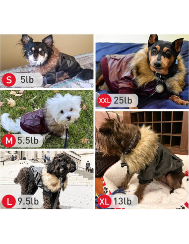 Abrigo de Invierno para Perros Pequeños Namsan Negro Mediano