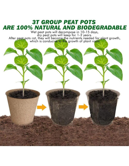 Macetas Pequeñas Compostables 3T GROUP 50 Pcs 7.6 cm Macetas Pequeñas Compostables 3T GROUP 50 Pcs 7.6 cm