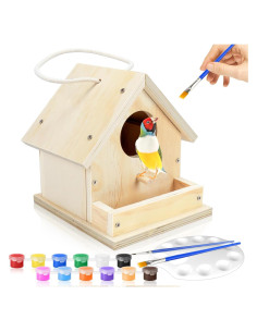 Kit de Casa para Aves DIY CZWESTC con Pintura y Pinceles