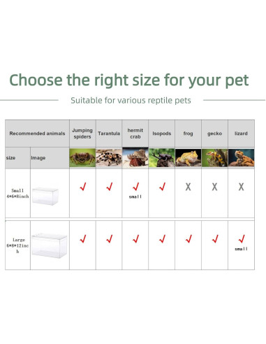 Terrario de Reptiles STELPAW 30.5x20.3x15.2cm para Gecko y Araña