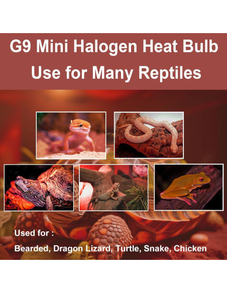 Bombillas de Calor G9 Halógenas 50W para Reptiles - Paquete de 2 Bombillas de Calor G9 Halógenas 50W para Reptiles - Paquete de 2