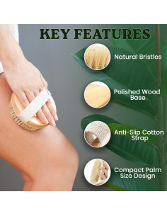 Cepillo Corporal Grande Vera Essence - Cerda de Jabalí Natural 2