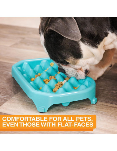 Cuenco Antideslizante Neater Slow Feeder 2.5 Tazas Aguamarina