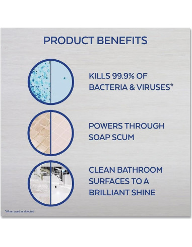 Limpieza de Baño Lysol Power & Free 22oz, Sin Blanqueador