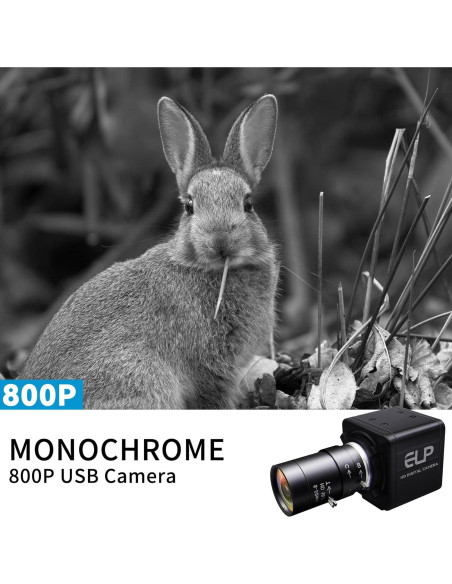 Cámara USB QILOVE 800P Monocromática 640fps Lente 5-50mm Cámara USB QILOVE 800P Monocromática 640fps Lente 5-50mm
