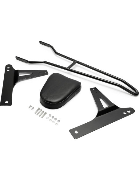 Respaldo Trasero Desmontable ECOTRIC Negro para Harley Dyna 2006-2016 Respaldo Trasero Desmontable ECOTRIC Negro para Harley Dyna 2006-2016
