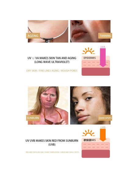 Crema Solar Disaarr Beauty SPF 50 Colágeno Extracto Caracol 50g Crema Solar Disaarr Beauty SPF 50 Colágeno Extracto Caracol 50g