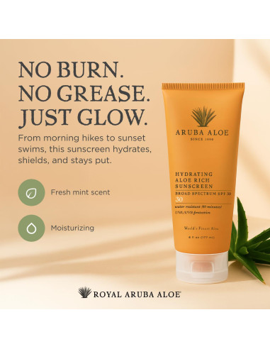Protector Solar Aruba Aloe SPF 30 - Hidratante 170 ml