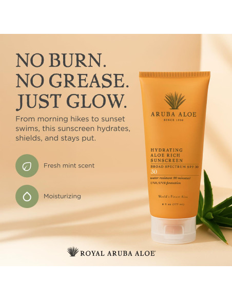 Protector Solar Aruba Aloe SPF 30 - Hidratante 170 ml Protector Solar Aruba Aloe SPF 30 - Hidratante 170 ml