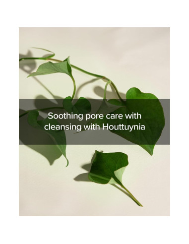 Espuma Limpiadora Profunda Mary&May 150 ml - Houttuynia y Tea Tree